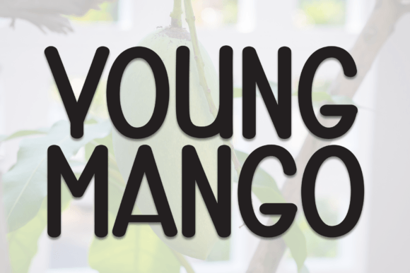 Young Mango: A Bold Display Font for Makers